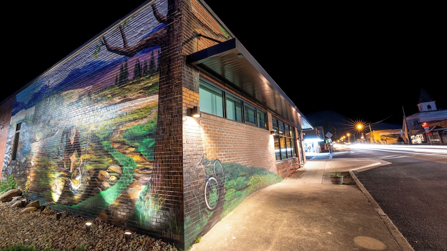 The Speckled Trout Outpost