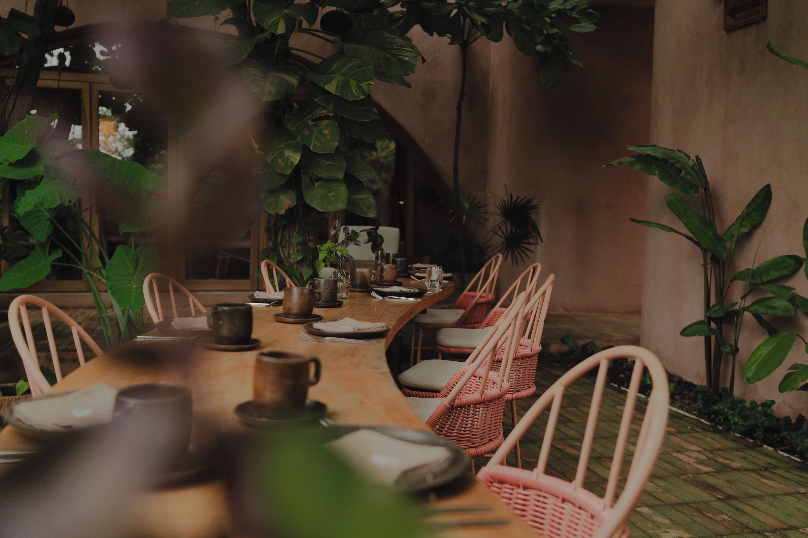 A dining area with a long wooden table, wicker chairs, and potted plants.