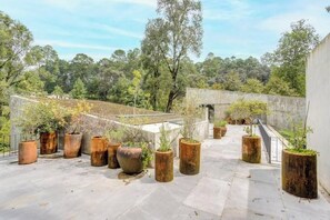 Enjoy the serene atmosphere of this outdoor space surrounded by lush greenery and beautifully arranged plants.