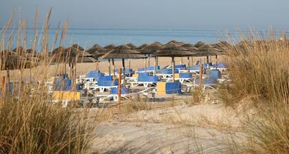 Casa das Ărvores Villa V4 with private pool