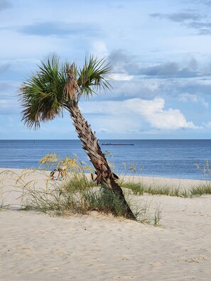 Beach - Cozy Coastal Getaway – ½ Mile to Gulfport Beach (Gulfport)