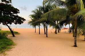A beach with palm trees and a clear sky. - Gold Flat by Apartamentos Jampa (João Pessoa)