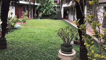 Ngoại thất