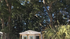 A small cabin with a porch, surrounded by trees. There are two lounge chairs and a palm tree nearby.