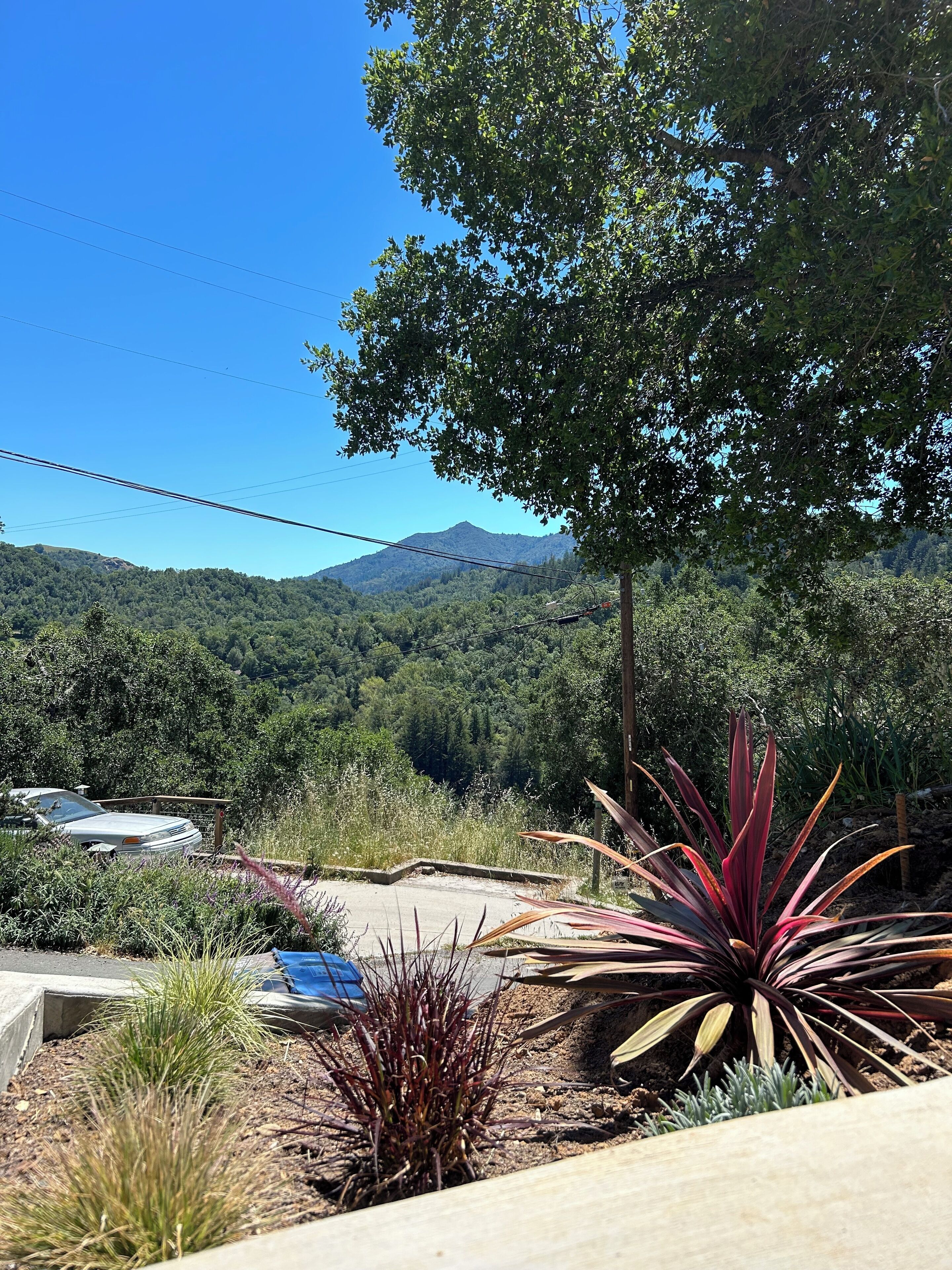 Gorgeous1-bedroom guest house with incredible nature views