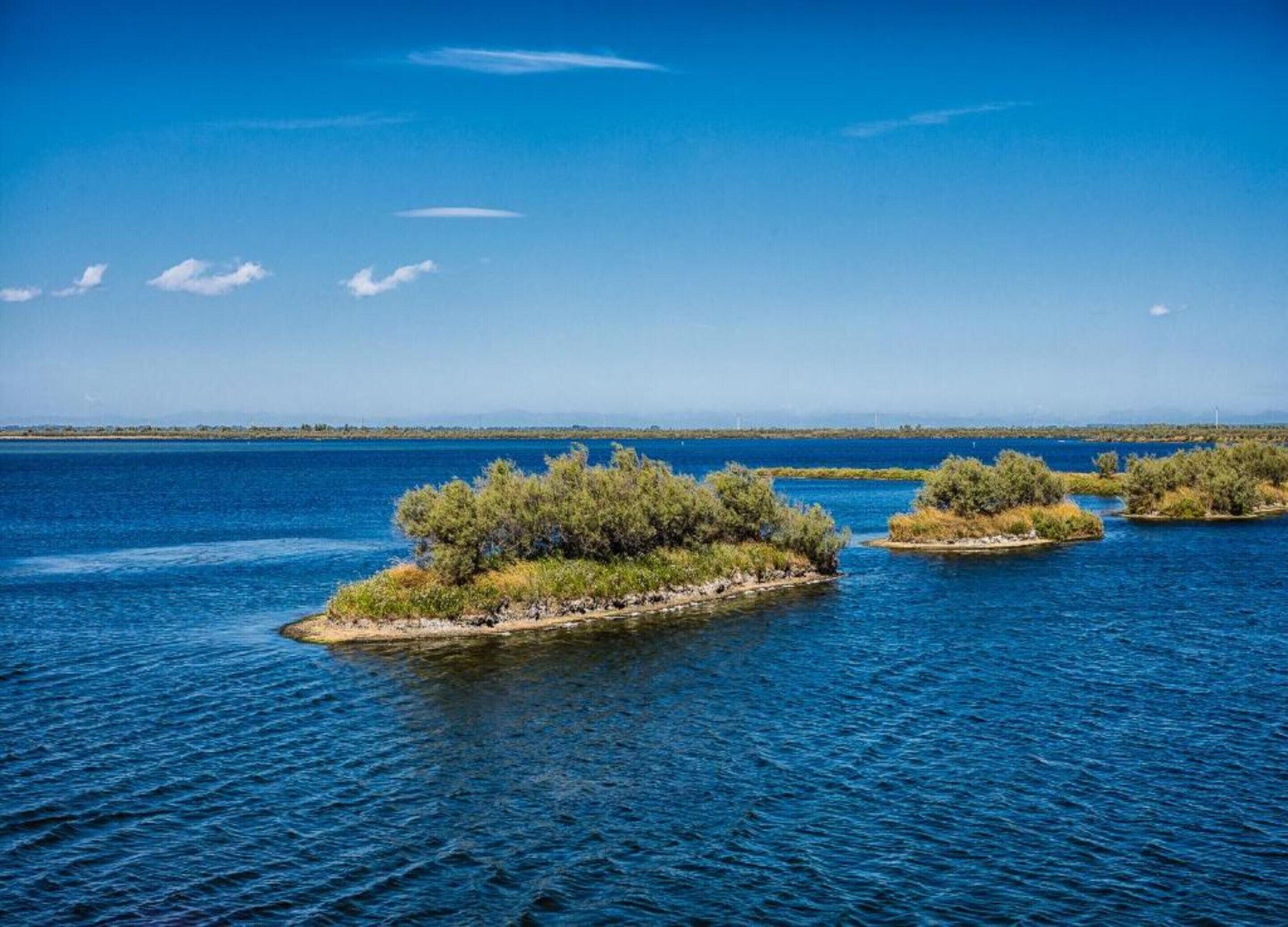 A calm body of water with several small islands covered in vegetation.