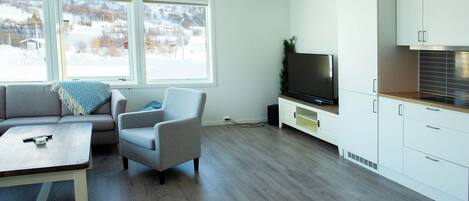 A modern living room with a sofa, armchair, and coffee table, a TV, and a kitchen area with white cabinets and a wooden countertop.