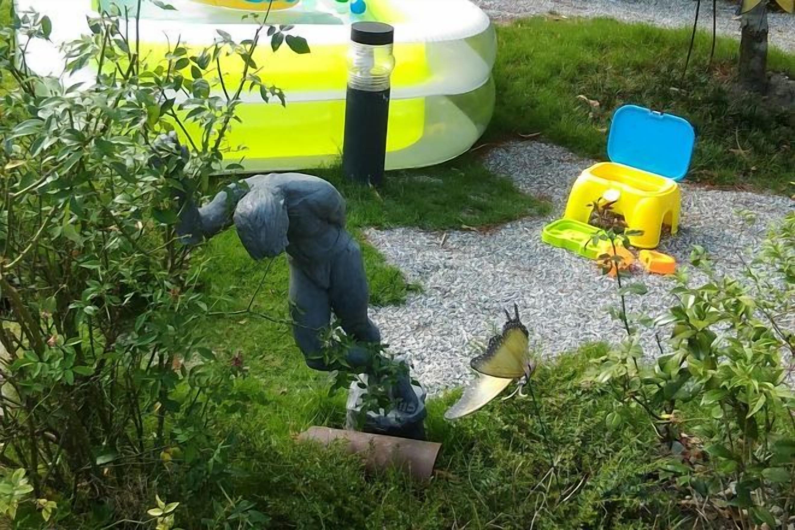 Un jardin avec une statue, une piscine gonflable jaune et un conteneur bleu.