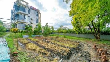 Un área residencial con jardín, un edificio de varios pisos y un árbol.