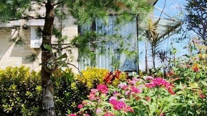 A building with a stone facade and a garden with various plants and flowers.
