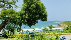A lush green tree in the foreground with a view of a beach and ocean in the background. - Sea You Soon Retreat+Jeep option (St. Thomas)