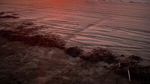 Une plage au coucher du soleil, avec le soleil qui disparaît à l’horizon.