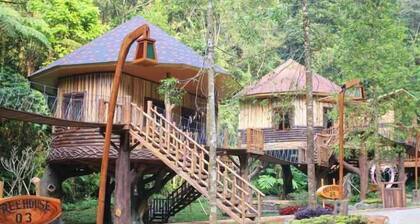 Safari Resort