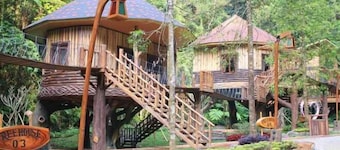 Safari Resort