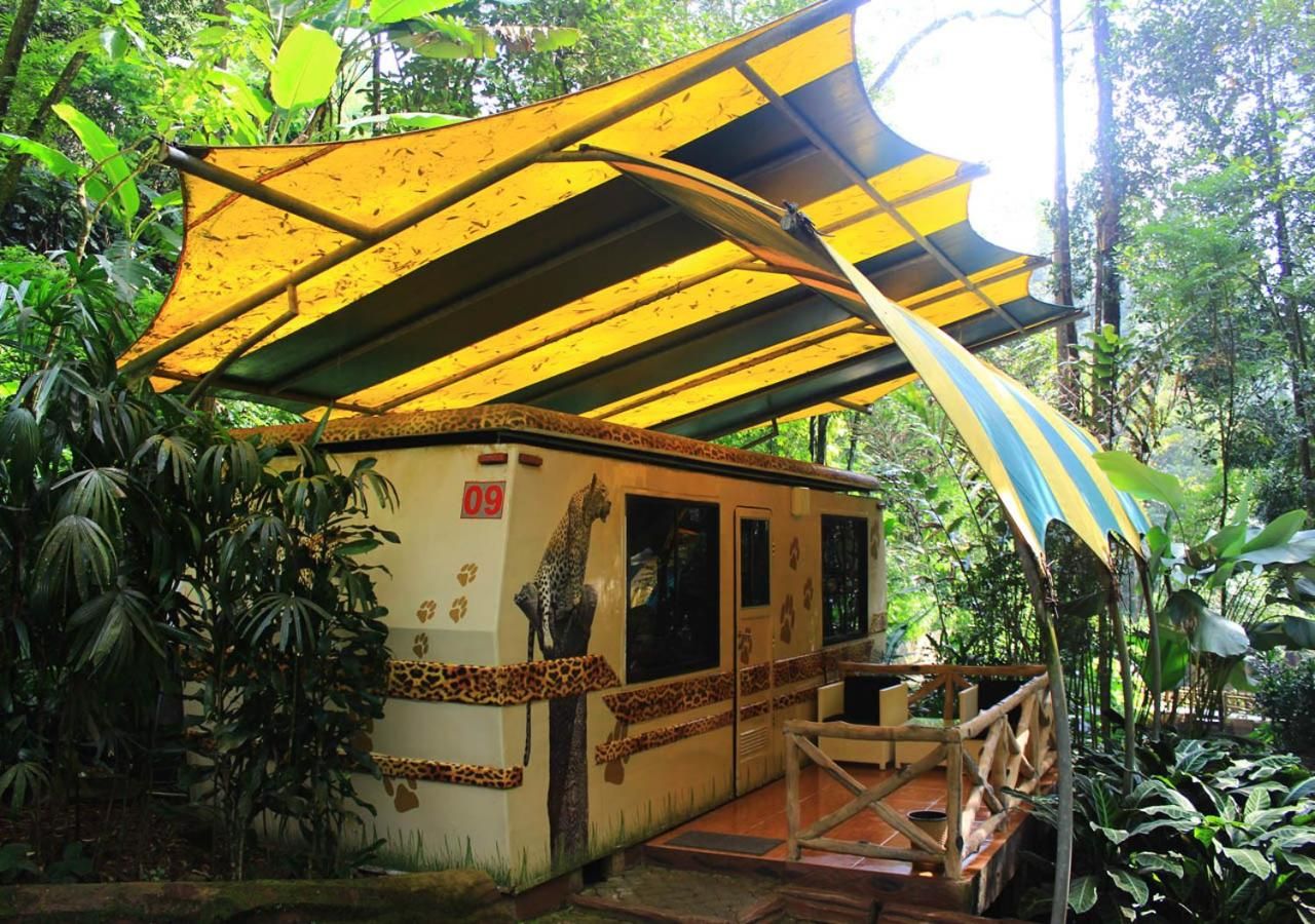 Un petit bâtiment décoré de motifs de léopard, un espace extérieur couvert et une terrasse en bois.