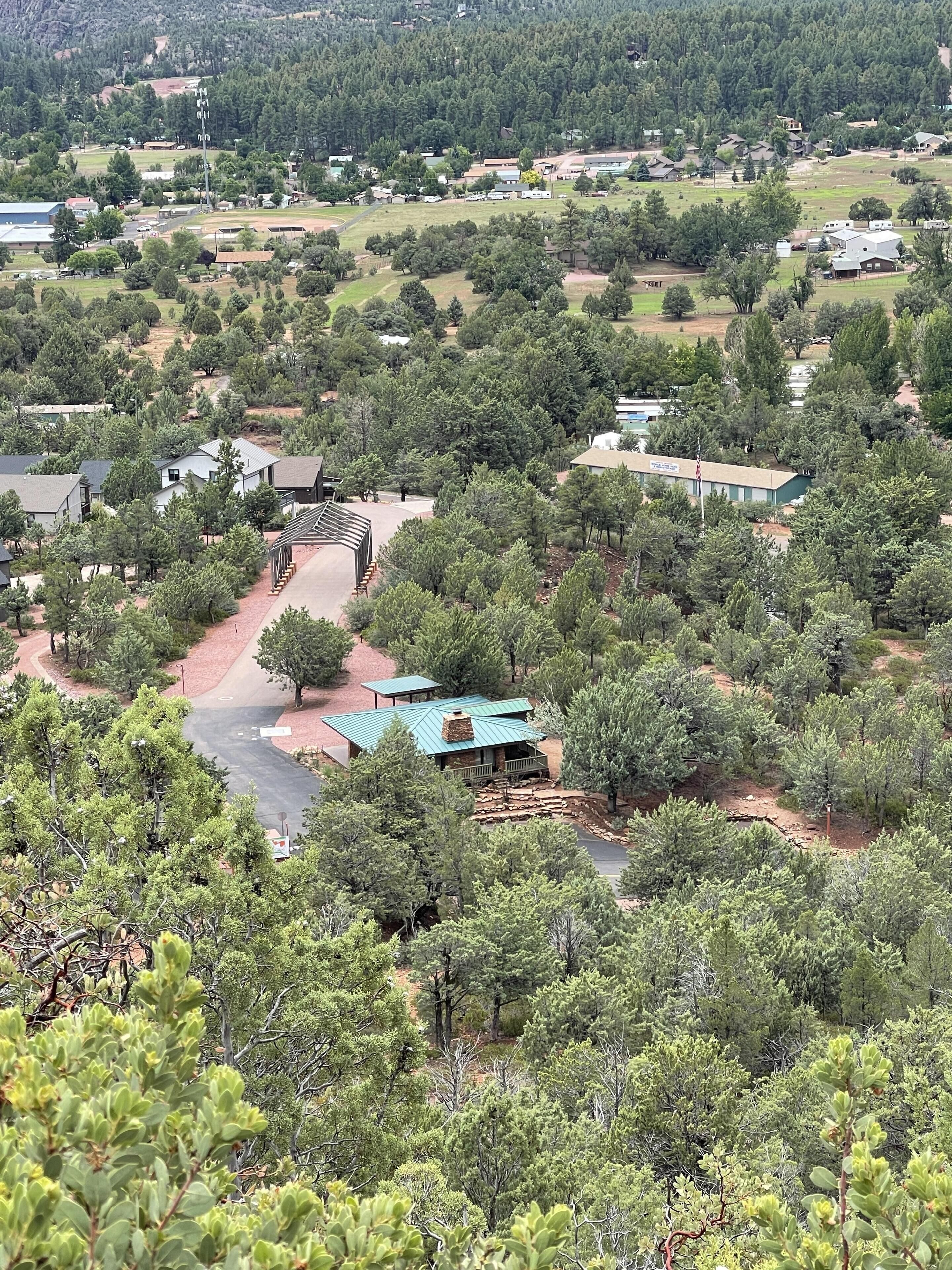 A residential area with houses, a paved road, and a green building with a metal roof.