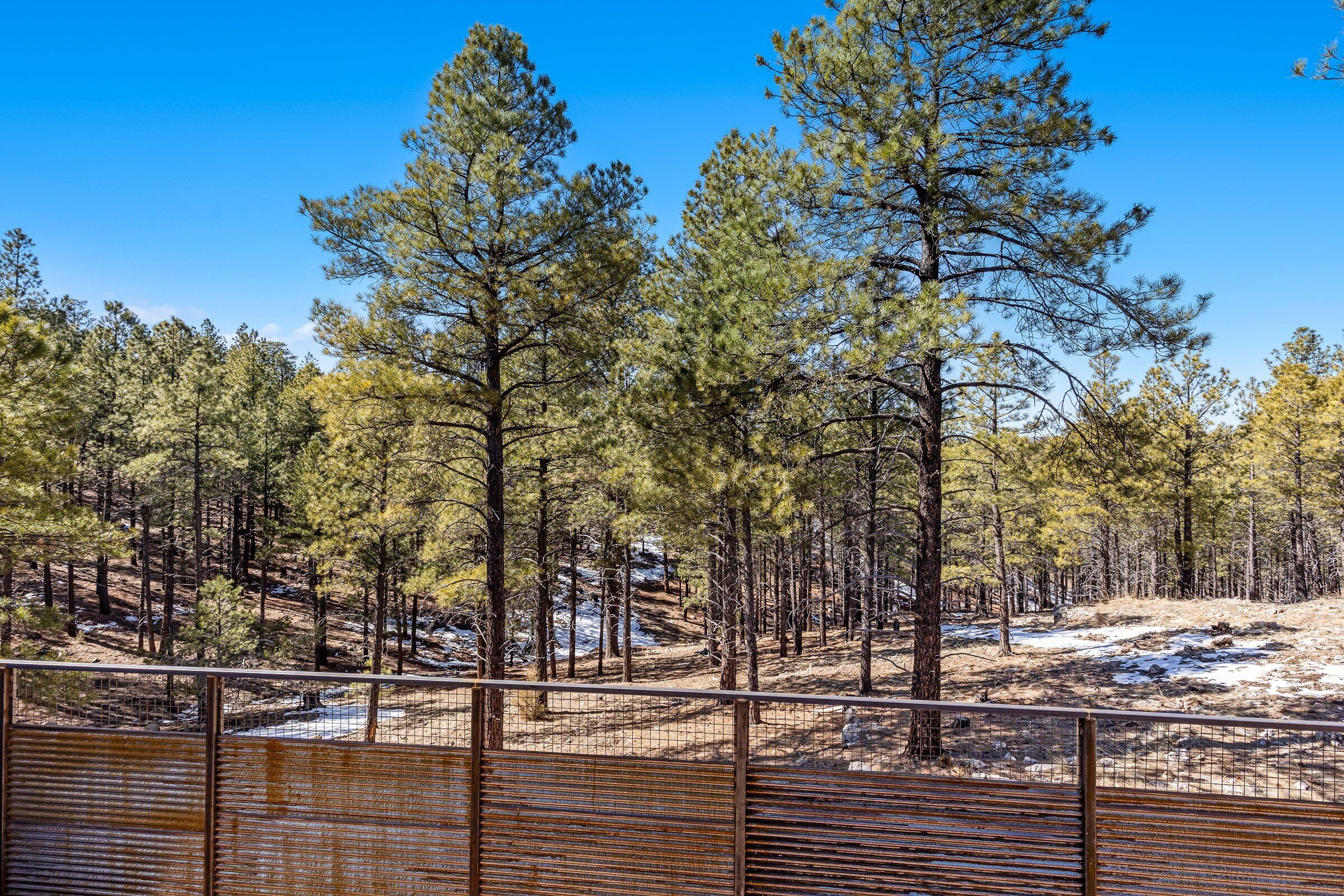 A forested area with a wooden fence and a clear sky.