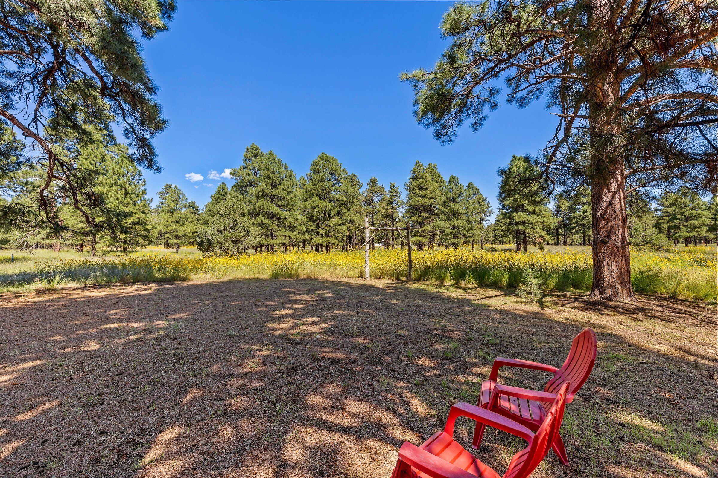 A red Adirondack chair in a forest clearing with tall pine trees and a clear blue sky.