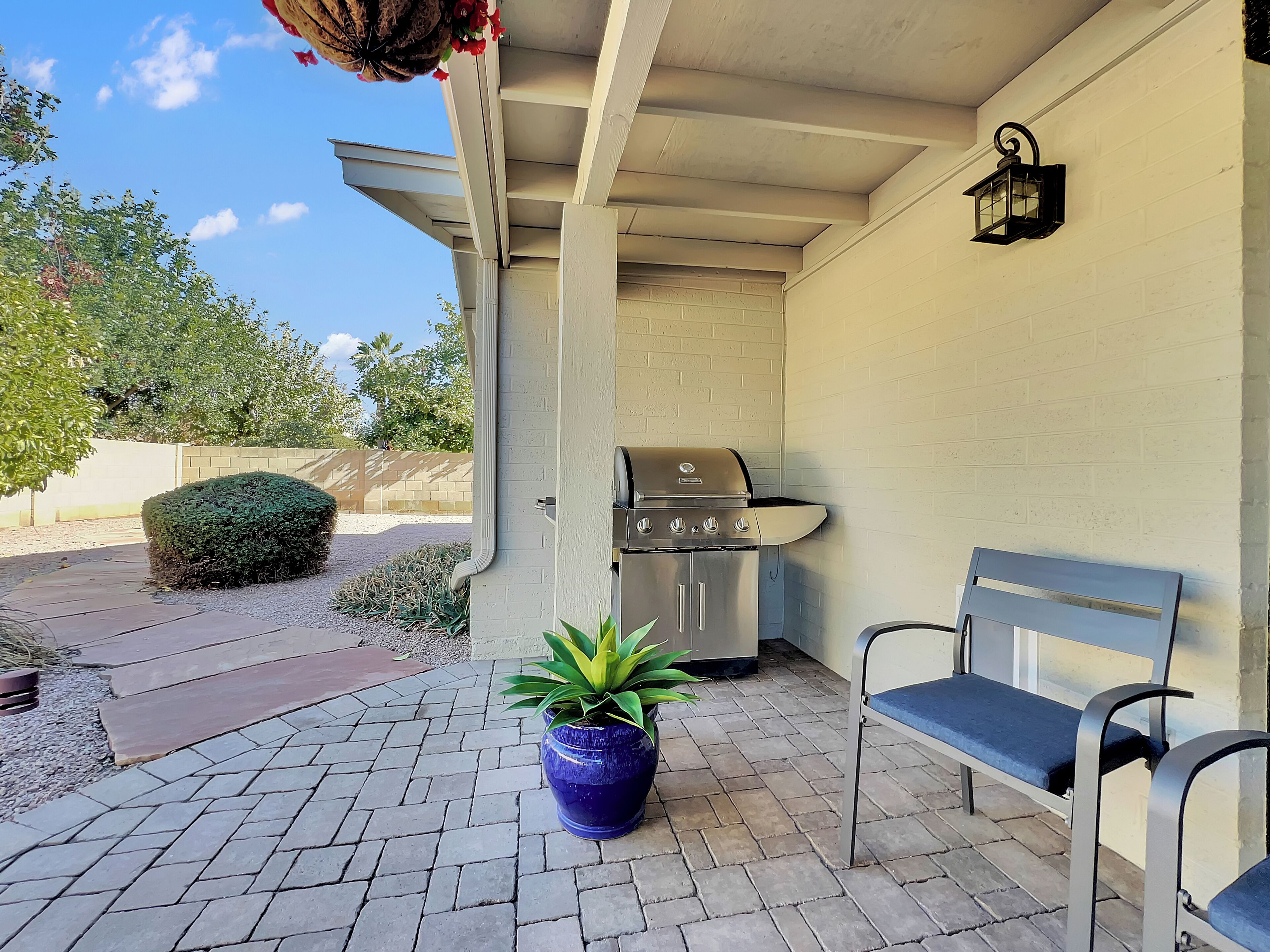 A patio with a grill, a bench, and a potted plant.
