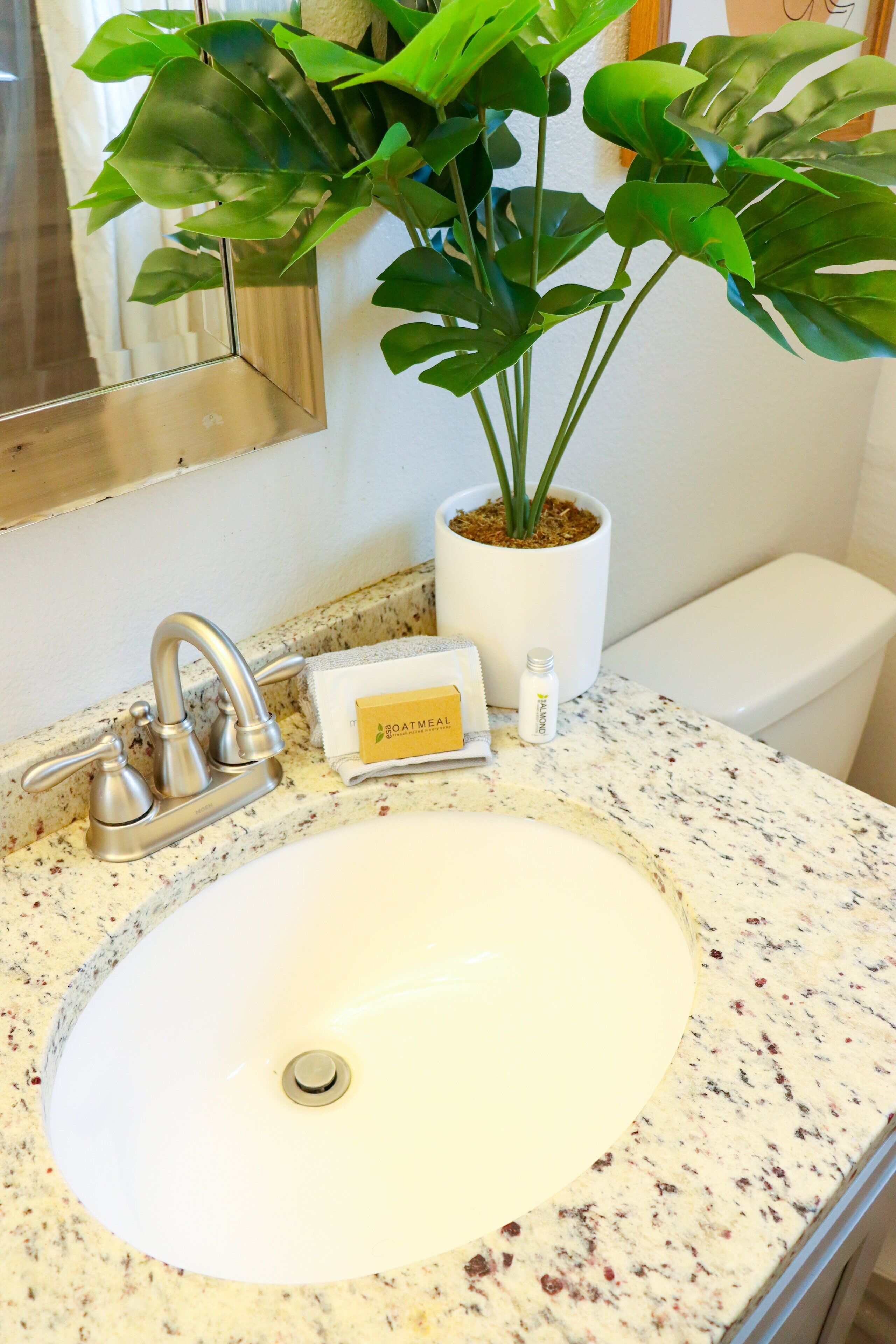 A bathroom sink with a granite countertop, a potted plant, a soap dish, and a toilet.