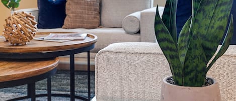 Área de sala de estar