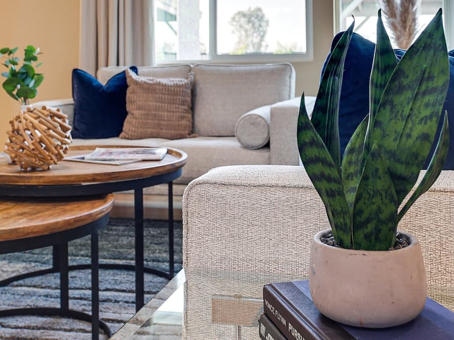 A modern living room with a sofa, coffee table, and a potted plant.