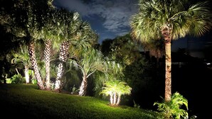 A nighttime garden with illuminated palm trees and a grassy area. - Hidden Gem with Jacuzzi, Waterfront   (North Port)