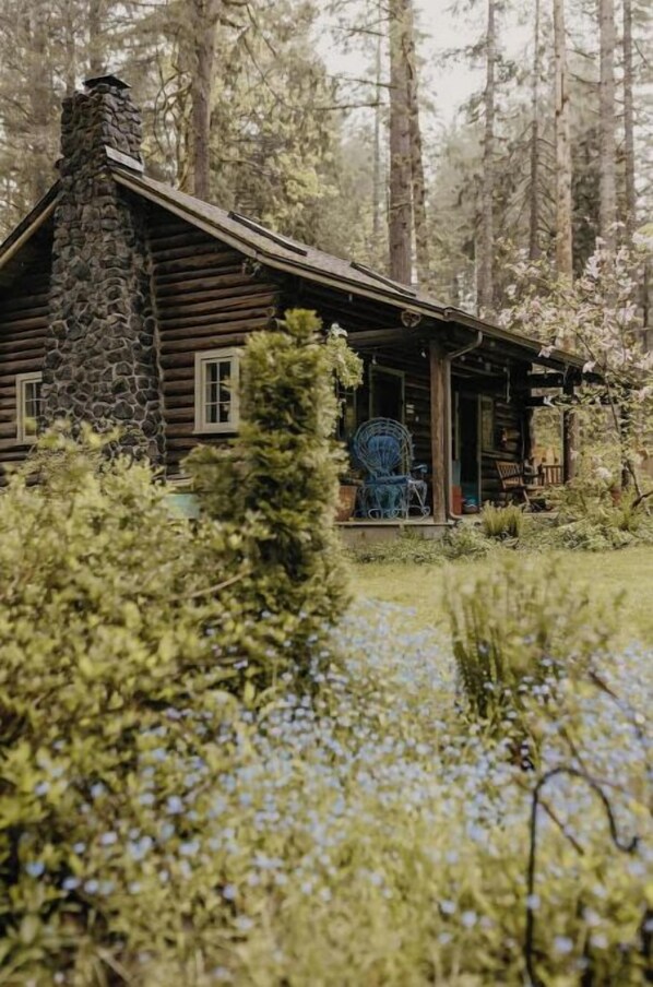 Exterior - LOLOMA LODGE - Family Cabin in the Woods
(McKenzie Bridge)