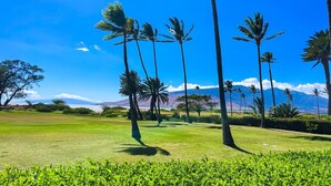 Un parcours de golf avec une pelouse bien entretenue, des palmiers et une vue dégagée sur les montagnes lointaines.