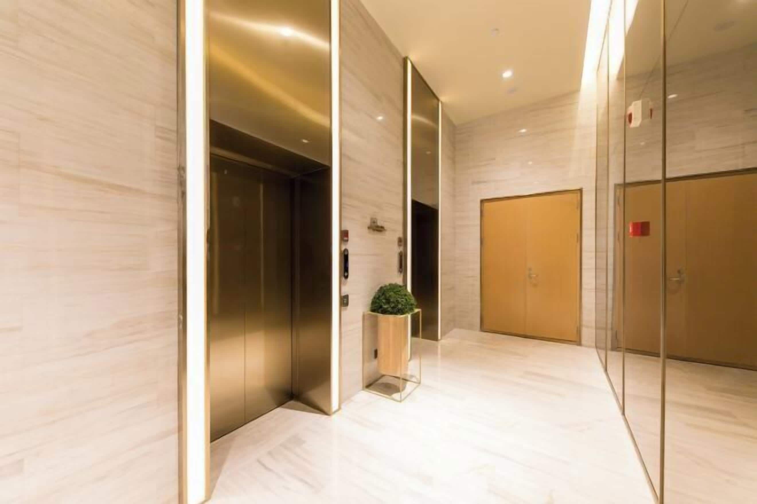 A modern elevator with a glass panel, a wooden door, and a small plant on a stand.