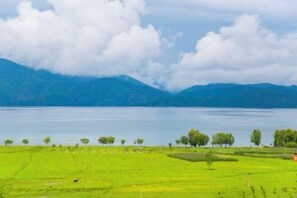 Vista desde la propiedad