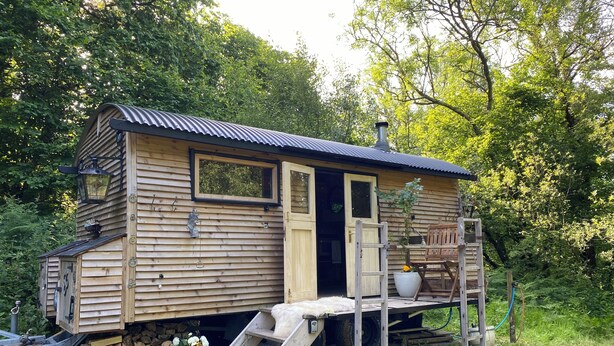 A wooden cabin with a door, windows, and a small porch.