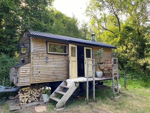 Dingle Glenn secluded woodland cabin