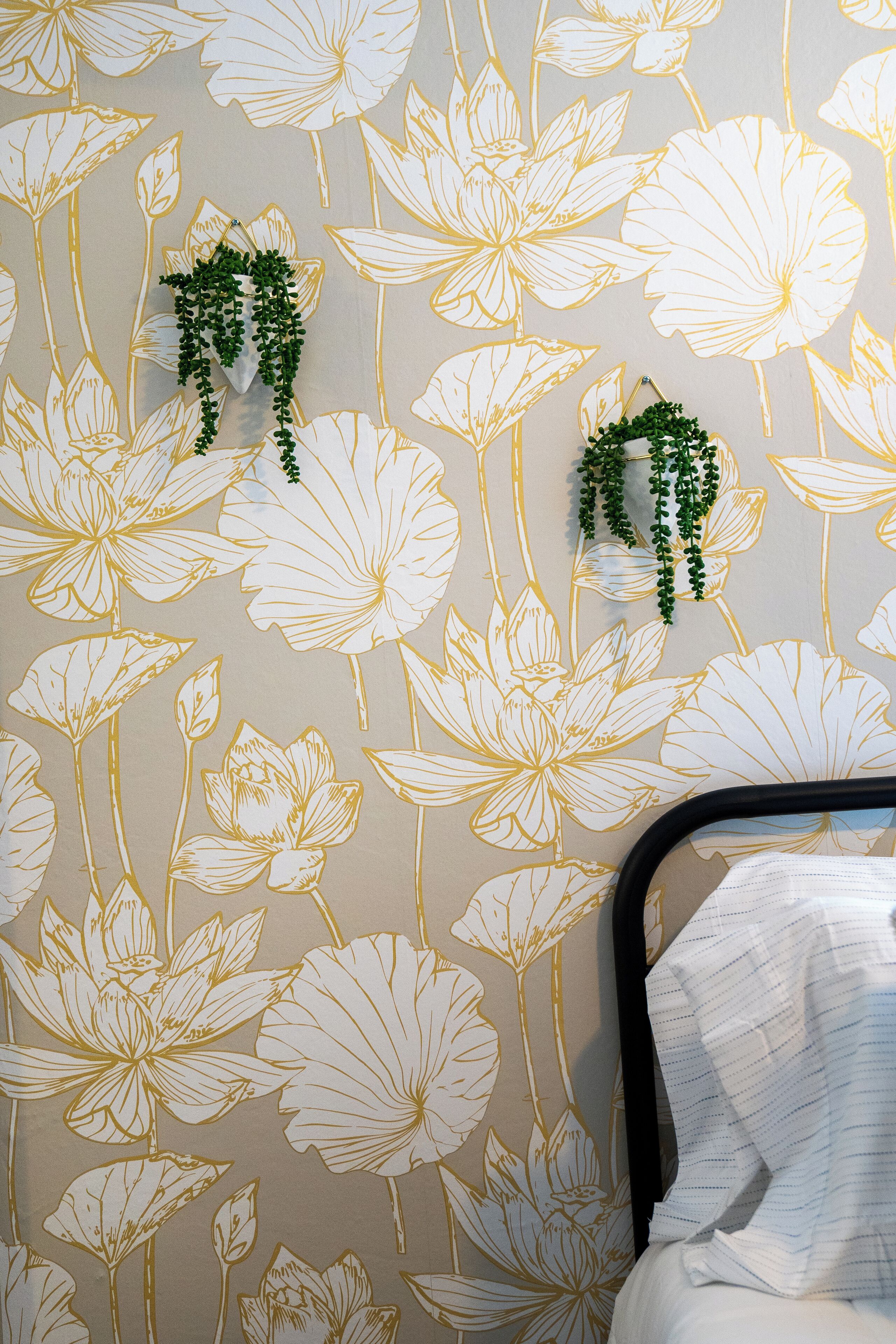 A wall with a floral pattern and two hanging plants.