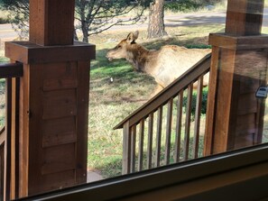 숙박 시설 구내