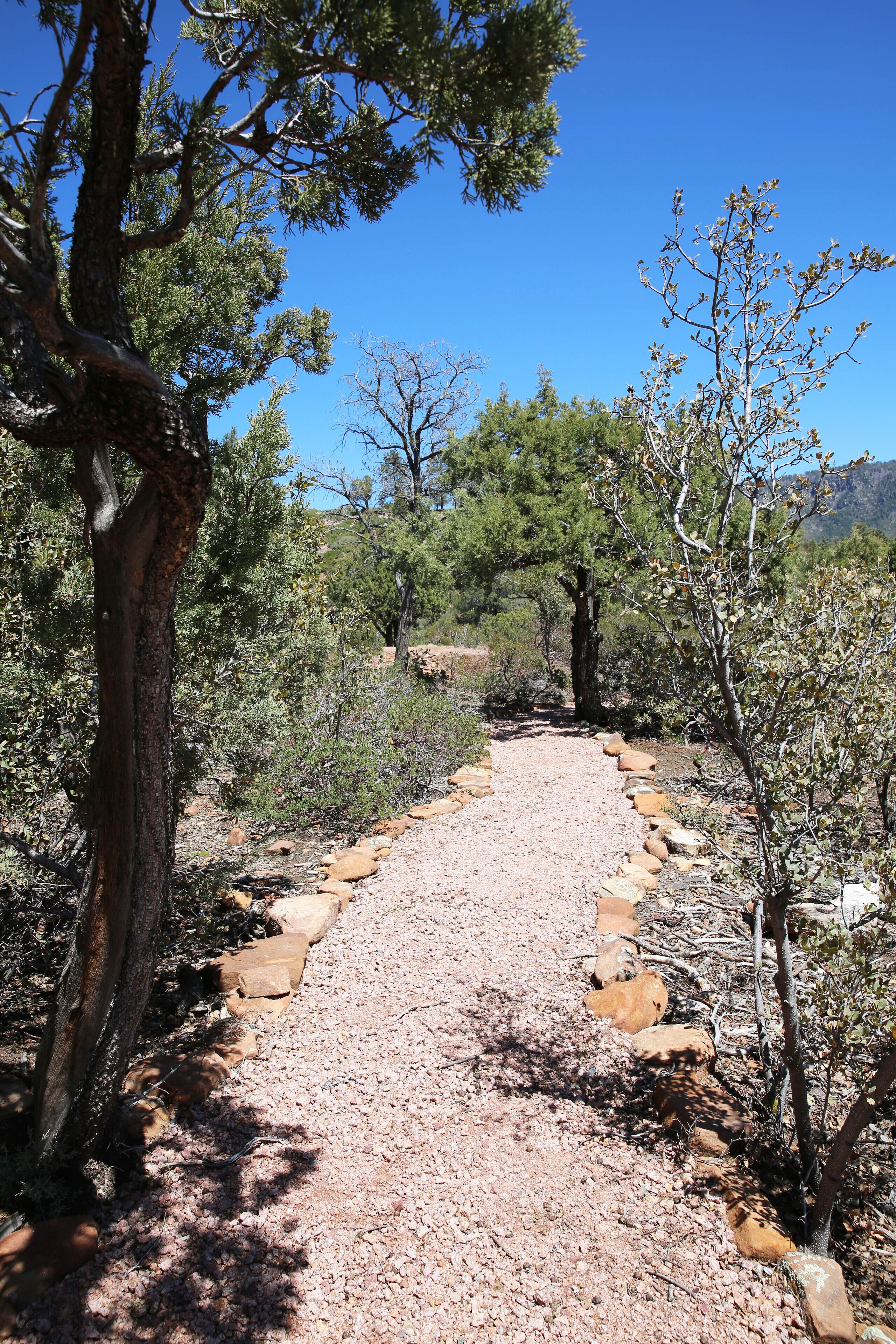 Un sendero de grava bordeado por árboles y rocas, que atraviesa un paisaje natural.