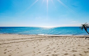 Ein Strand mit Fußspuren im Sand und einer Palme.