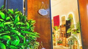 Una puerta de madera con un letrero, plantas de interior y un espacio bien iluminado con estanterías y muebles.