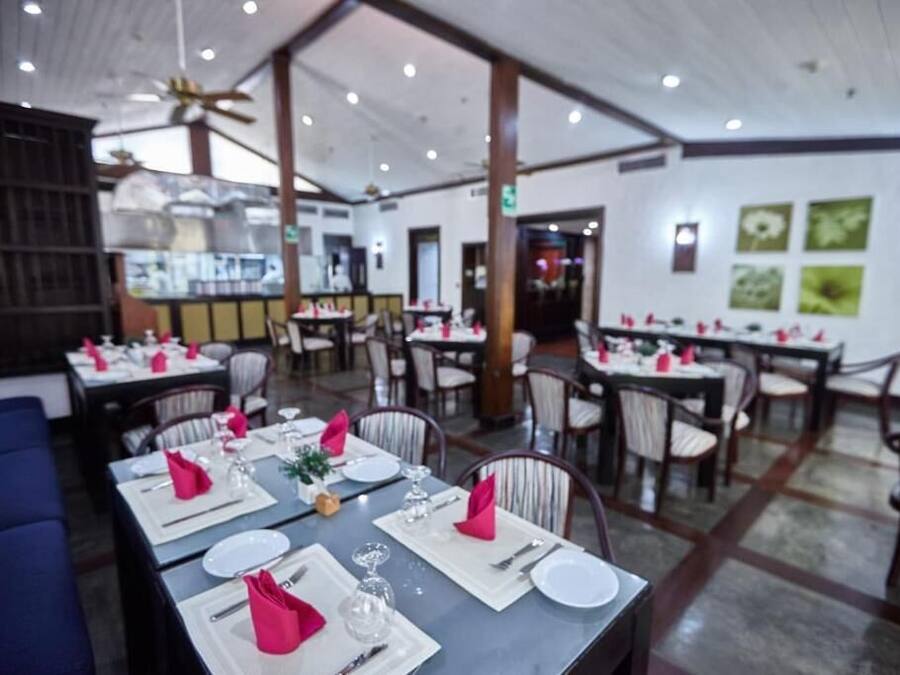 Un restaurant où les tables sont dressées pour le service, avec un mélange de chaises et de banquettes.