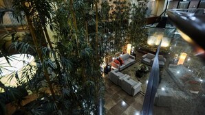 Un espacio interior amplio con un jardín interior extenso, arreglos de asientos y una barandilla de vidrio con vistas al área.