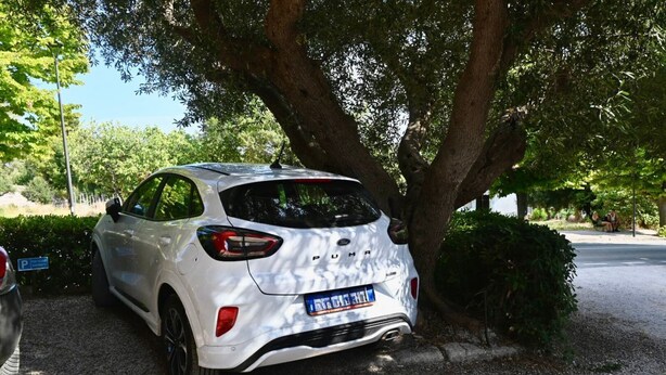 A white SUV parked under a tree. - S343 - Sirolo, new three-room apartment with a/c and parking space (Sirolo)