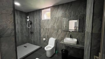 Douche, bidet, serviettes fournies, papier toilette