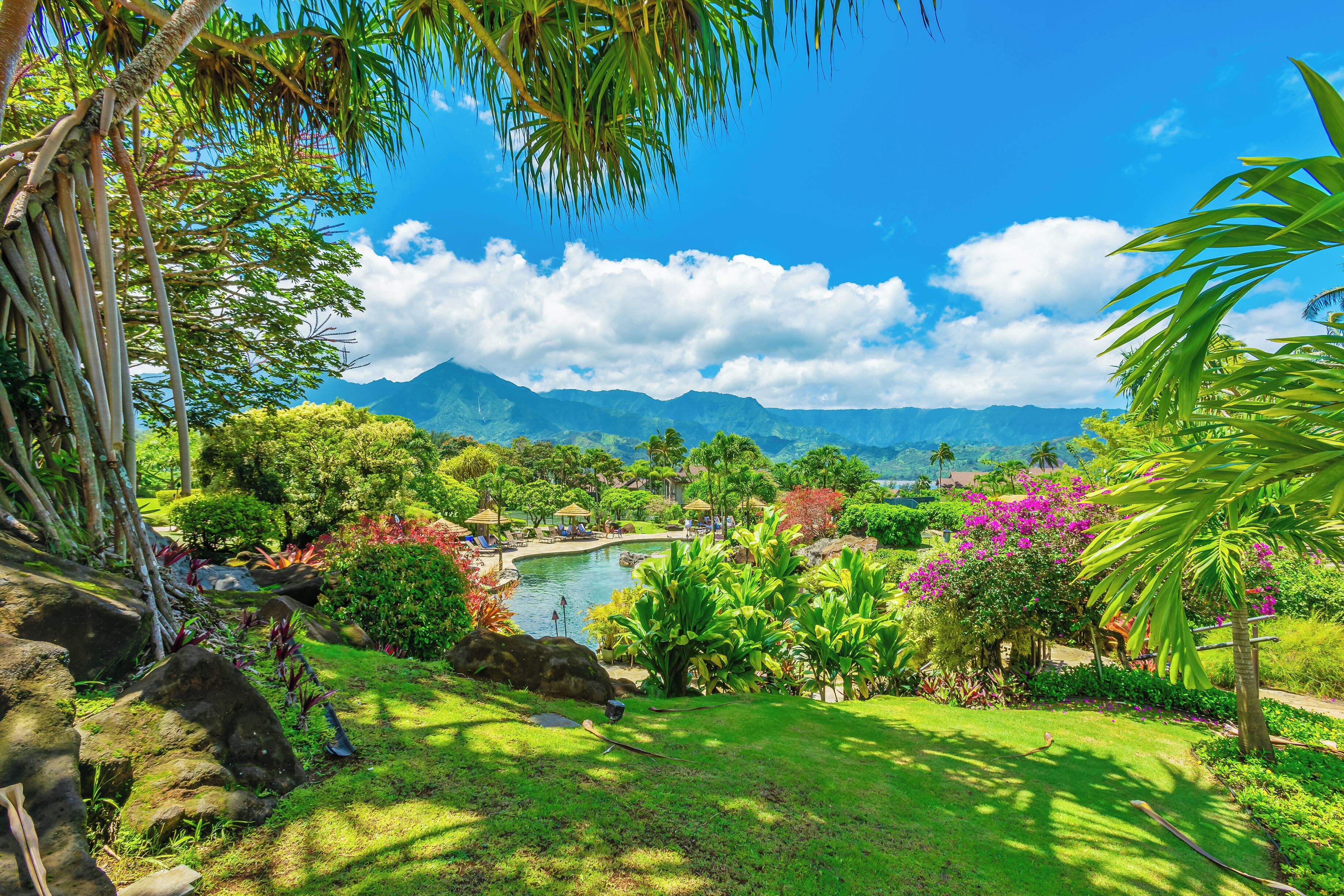 A lush garden with a pond, palm trees, and a view of distant mountains.