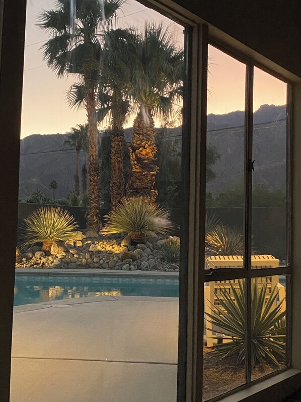 Outdoor pool, a heated pool - Unwind Poolside @ The Desert Honey Palm Springs permit #625 (Palm Springs)
