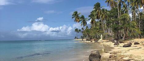 Sun-loungers, beach towels