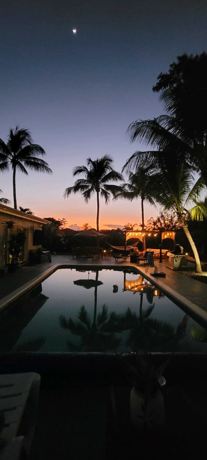 A pool area with palm trees and a sunset view.
