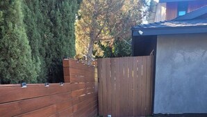 Ein Garten mit Holzzaun, einem Betonweg mit Rasenkanten und einem Schuppen im Hintergrund.