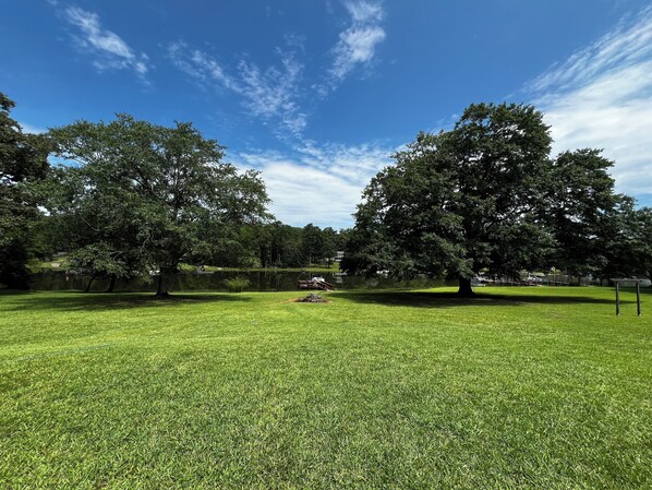 Golf - Historic Charm on the Lake Stay by a 475 Year-Old Oak with Private Dock BoatRamp (Chapin)