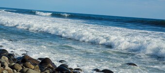 Tropical Escape@Sunzal Surf City