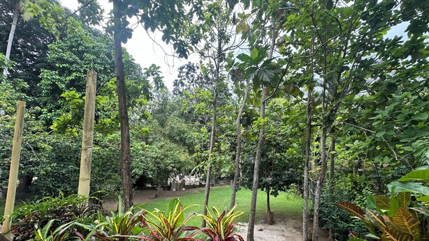 Unclassified image, 1 of 8, button - hostal y camping villa guadua tayrona (Santa Marta)